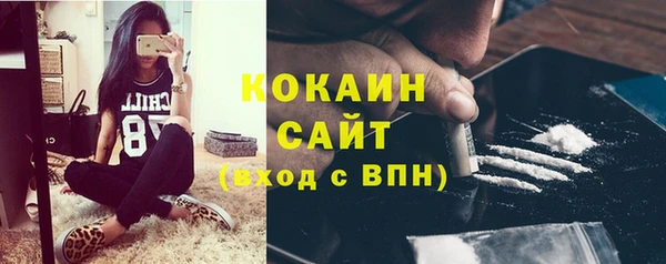 ГАЛЛЮЦИНОГЕННЫЕ ГРИБЫ Коряжма