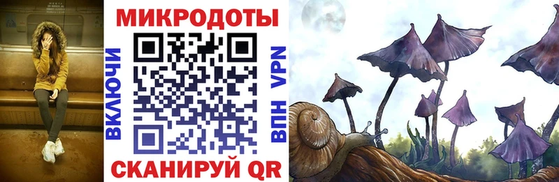 Галлюциногенные грибы Psilocybe  кракен зеркало  Кировград  закладка 
